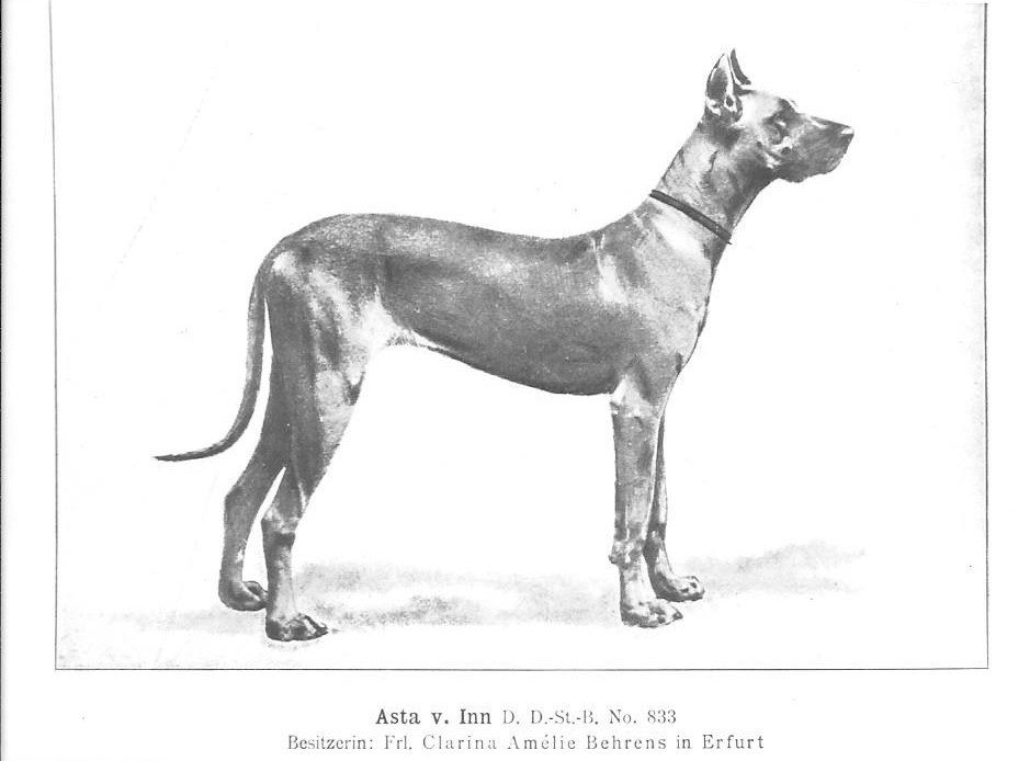 Asta v Inn